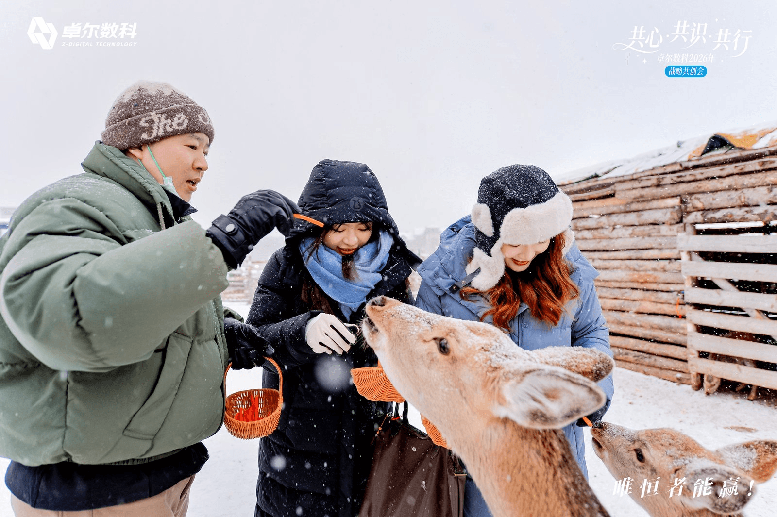 卓尔数科伙伴在雪地喂食驯鹿